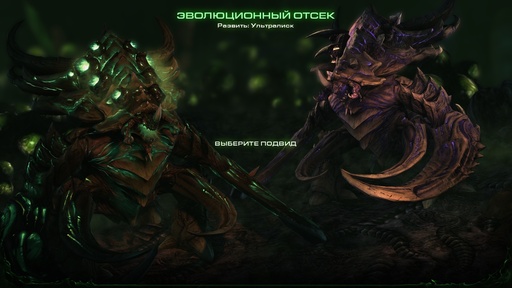 StarCraft II: Heart of the Swarm - Ум, честь и совесть Роя. Обзор Starcraft II: Heart of The Swarm